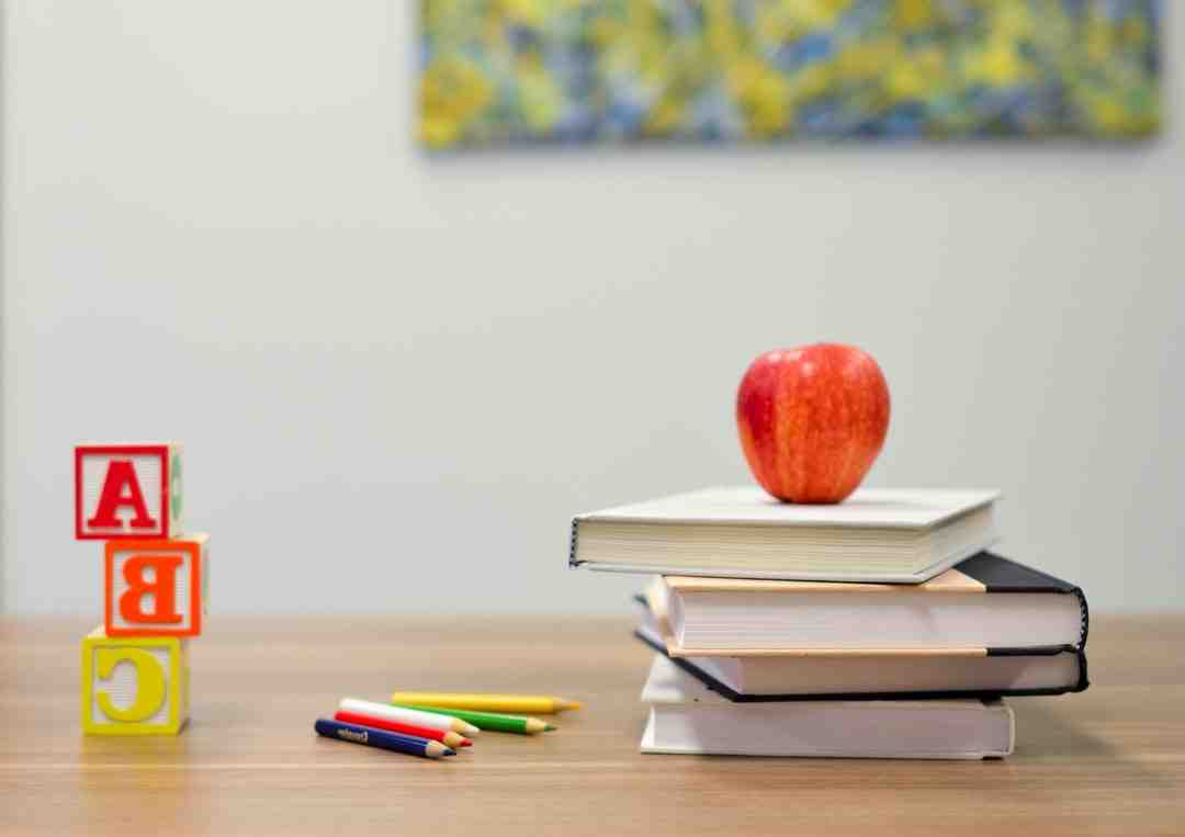 Combien de trimesre enfant education national